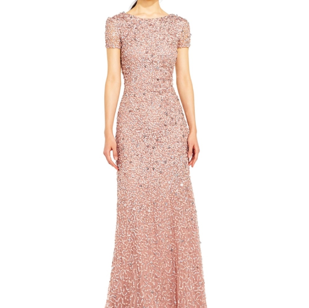Blush scoop back sequin dress